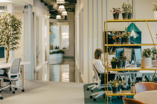 Our offices, photo 2